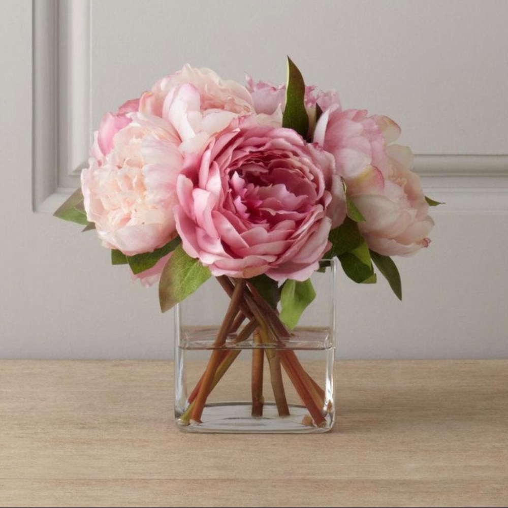 Meet your Posher, Mayra